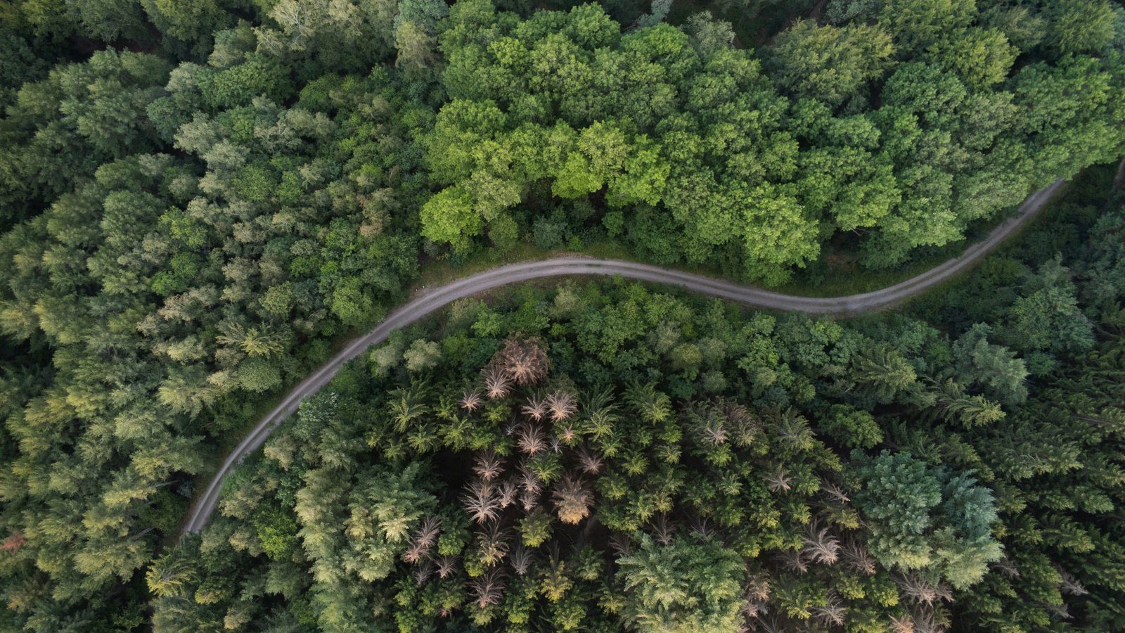 Foto di Siegen